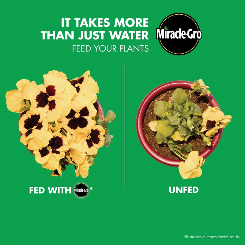 Miracle-Gro® Liquid All Purpose Plant Food Concentrate image number null